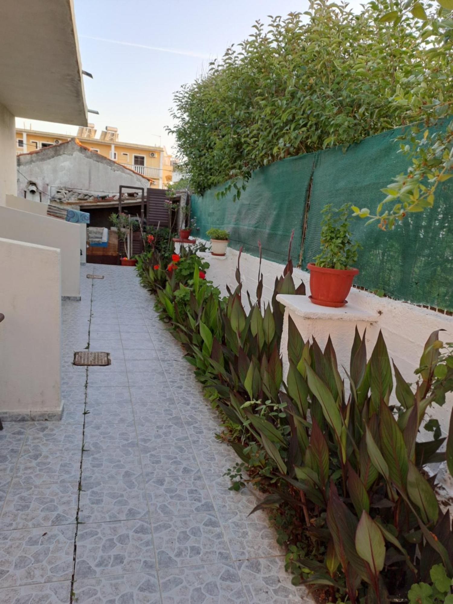 Tony'S Apartments Agios Georgios  Buitenkant foto
